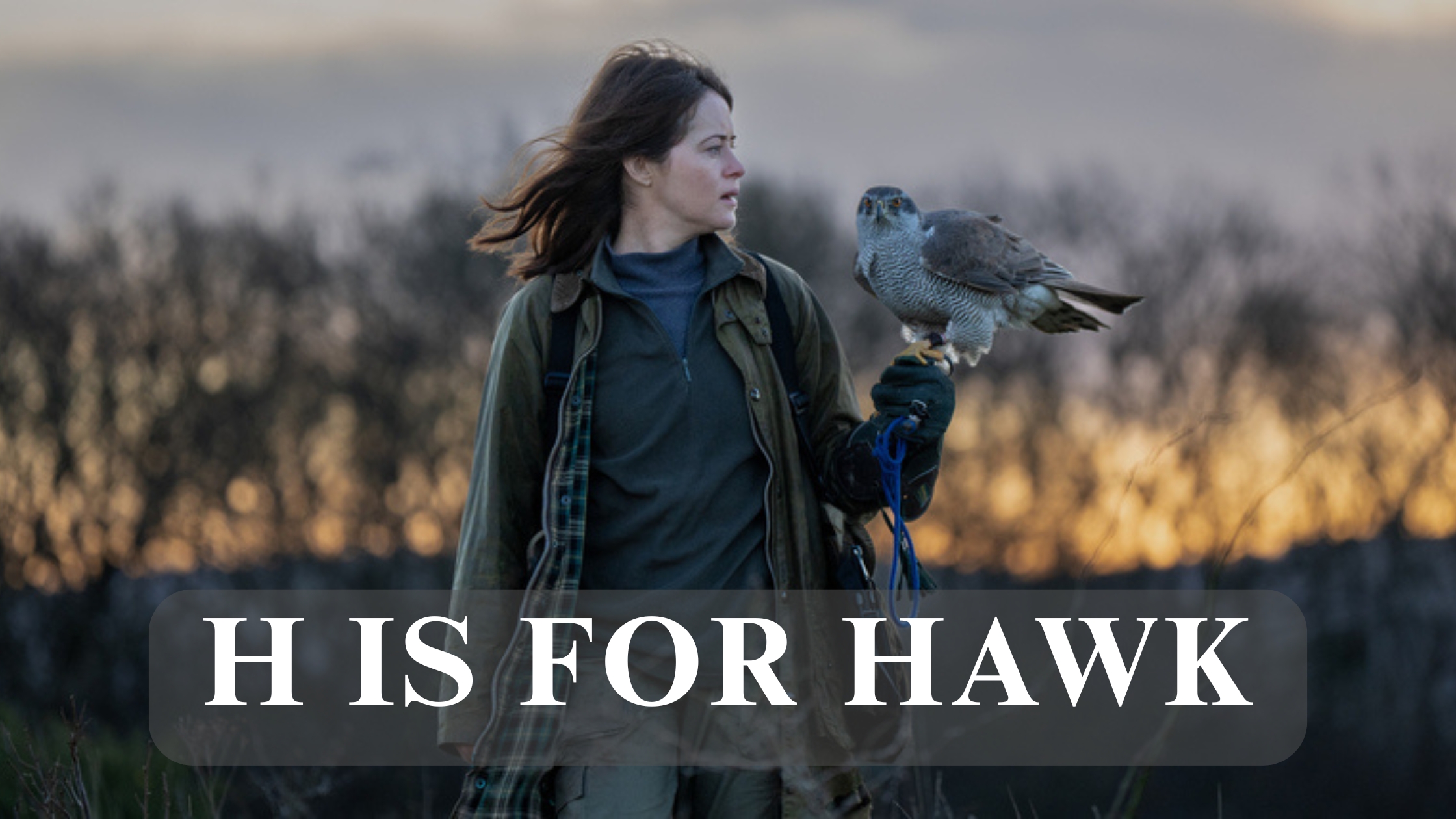 H Is for Hawk