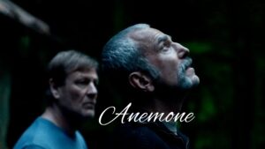 Anemone