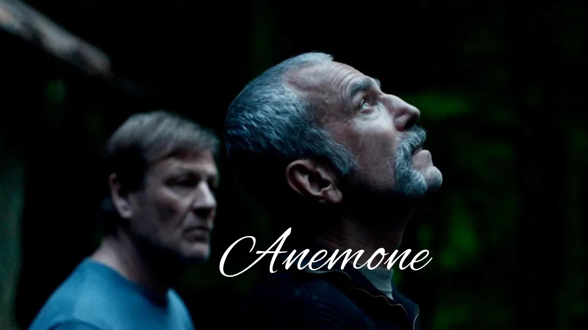 Anemone