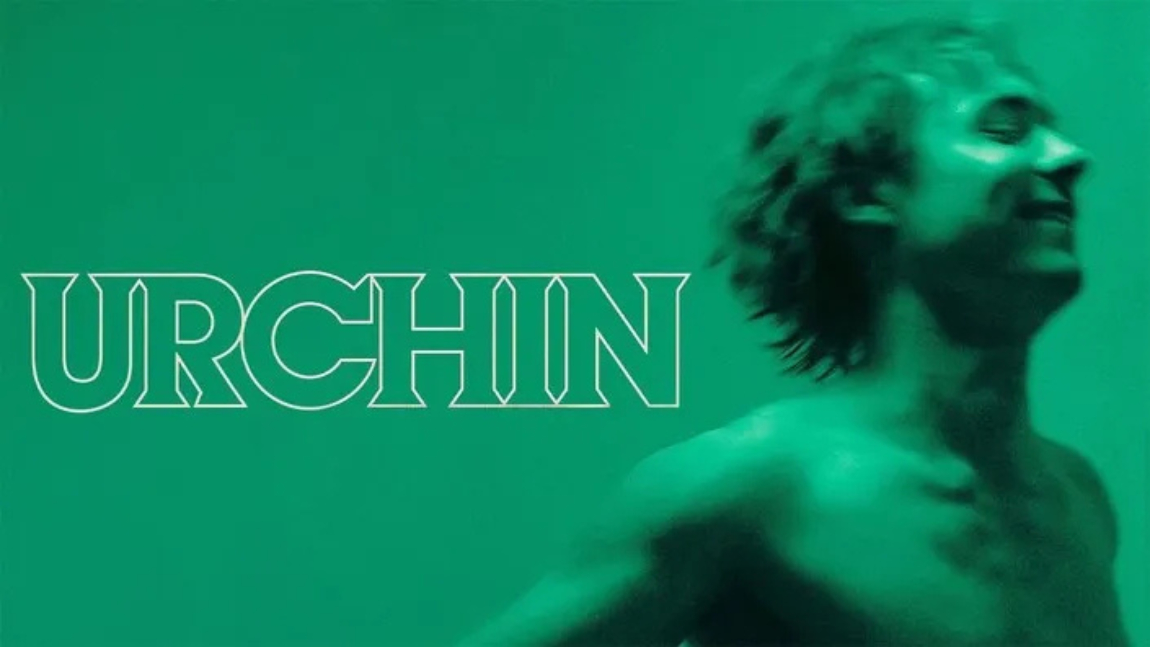 Read more about the article Urchin